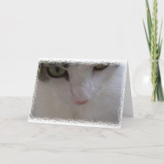 鳴きます感謝していして下さい サンキューカード