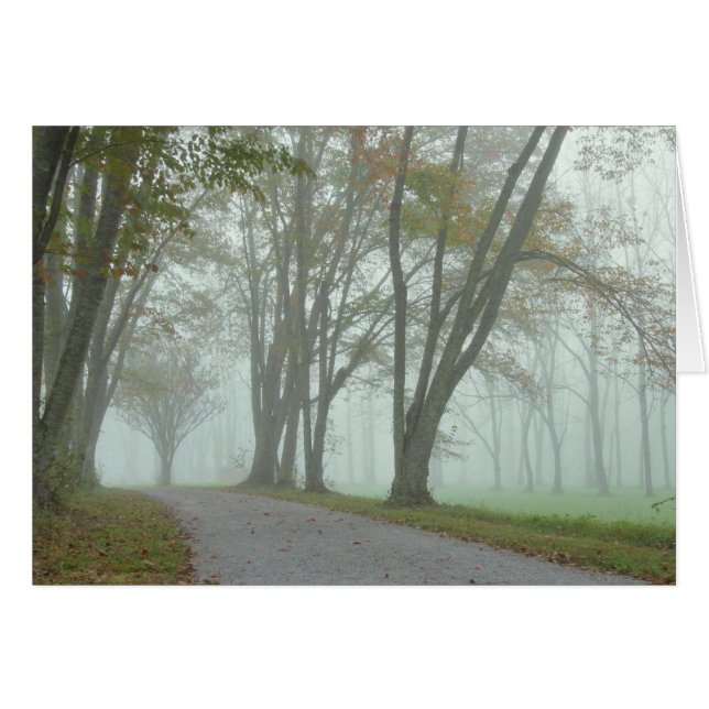 鳴き鳥の道 (正面横)