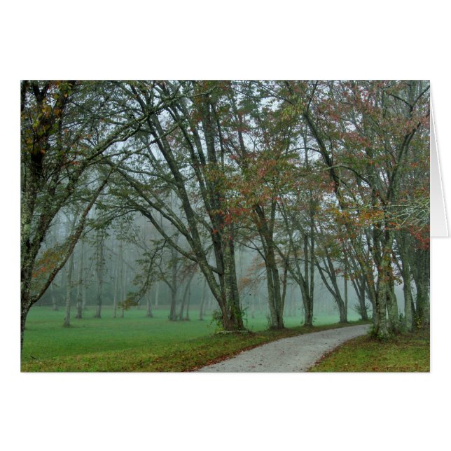 鳴き鳥の道II (正面横)