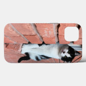 鳴ったか?レンガの窓の上の白黒の猫 Case-Mate iPhoneケース (裏面 (横))
