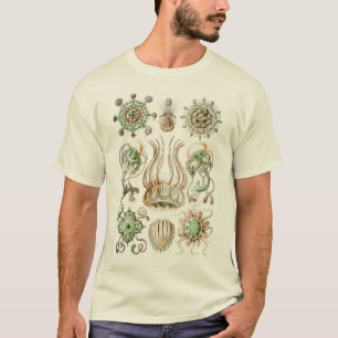 鳴子節前 Tシャツ