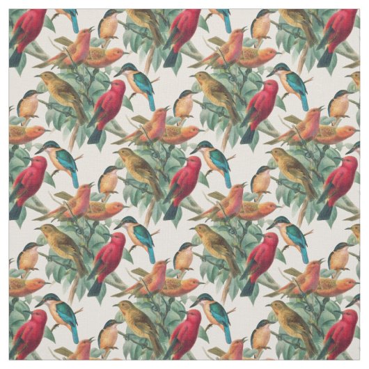 鳴鳥 ファブリック (見本)