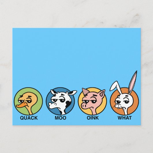 鴨おもしろい牛ぶた及びウサギ葉書 ポストカード (正面)