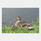 鴨とアヒル ラッピングペーパーシート (正面3)