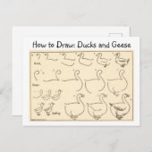 鴨とガチョウのヴィンテージはがきを描く ポストカード (正面/裏面)