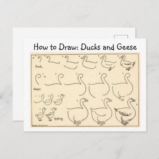 鴨とガチョウのヴィンテージはがきを描く ポストカード (正面/裏面)