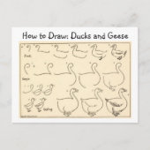 鴨とガチョウのヴィンテージはがきを描く ポストカード (正面)