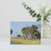 鵜のルーカリー葉書 ポストカード (スタンド正面)