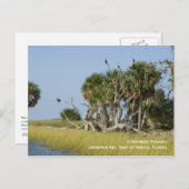 鵜のルーカリー葉書 ポストカード (正面/裏面)