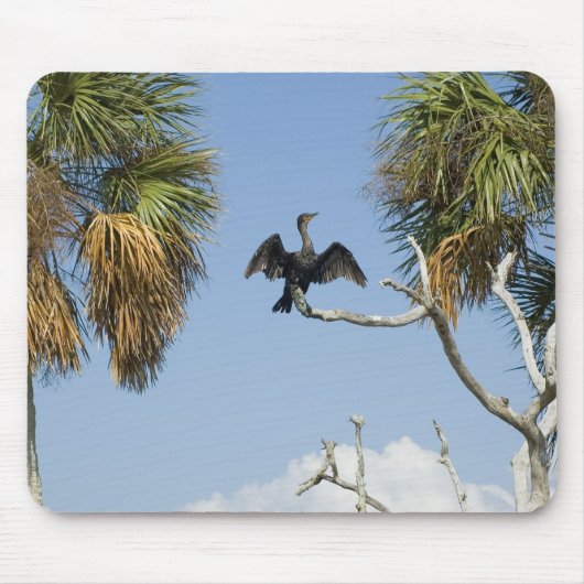 鵜の乾燥ウイングマウスパッド マウスパッド (正面)