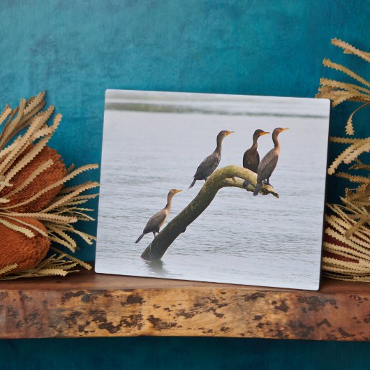 鵜の歯垢 フォトプラーク (側面)