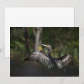 鵜の自然写真カード (正面/裏面)