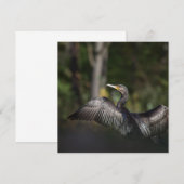 鵜の鳥の自然写真カード (正面/裏面)