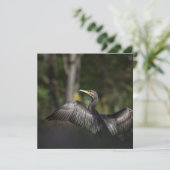 鵜の鳥の自然写真カード (スタンド正面)