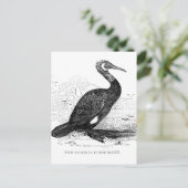 鵜ヴィンテージ鳥野獣スケッチ ポストカード (スタンド正面)