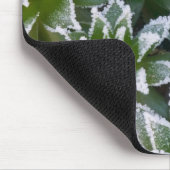 鶏とひなは早い時期に霜を吸い込んだ マウスパッド (コーナー)