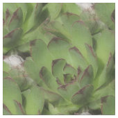 鶏とひなは自然型 ファブリック (クローズアップ)