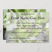 鶏とひな-センペルビバム 招待状 (正面/裏面)