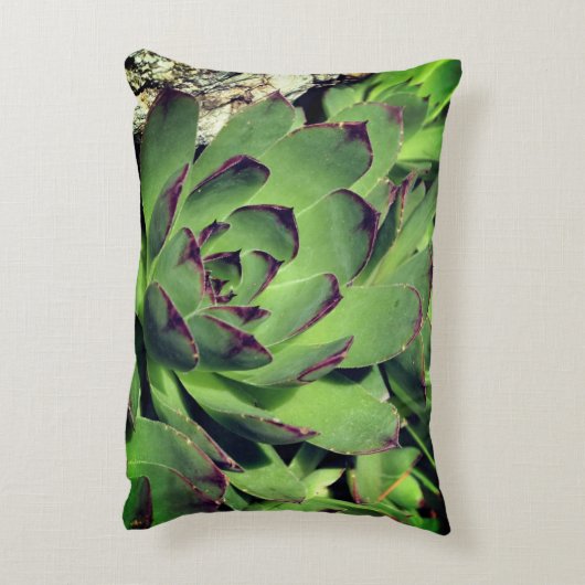 鶏とチックスの庭の多肉植物が近い アクセントクッション (裏面(縦))