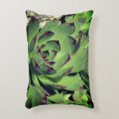 鶏とチックスの庭の多肉植物が近い アクセントクッション (正面(垂直))