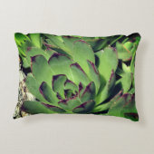 鶏とチックスの庭の多肉植物が近い アクセントクッション (裏面)