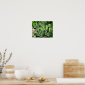 鶏とチックスの庭の多肉植物が近い ポスター (キッチン)