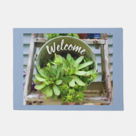 鶏とヒヨコ多肉油絵へようこそ ドアマット