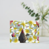 鶏とフランジパニスは ポストカード (スタンド正面)