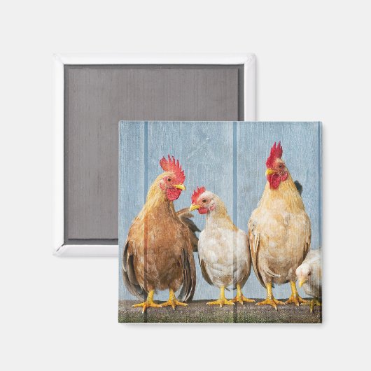 鶏と友人 マグネット (正面/裏面)
