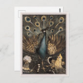 鶏と孔雀(1878年~1910年)テオ・ファン・ホイテム ポストカード (正面/裏面)