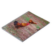 鶏と彼の鶏 ノートブック (左側)