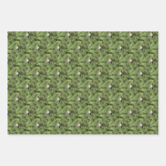 鶏と雛の多肉性自然模様 ラッピングペーパーシート (正面)