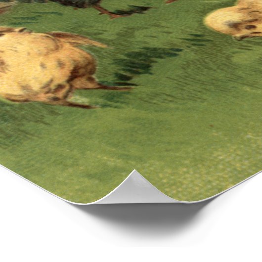 鶏と雛 ポスター (角)