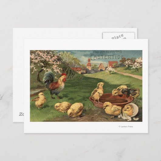 鶏と雛 ポストカード (正面/裏面)