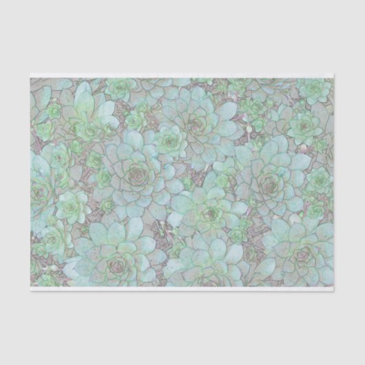 鶏と雛 薄葉紙 (正面)