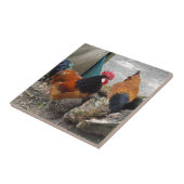 鶏と鶏のペアの食べ食べ物 タイル (側面)