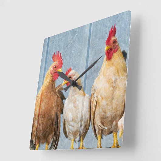 鶏と鶏 スクエア壁時計 (傾斜)