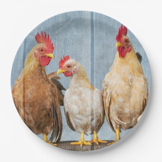 鶏と鶏 ペーパープレート (正面)