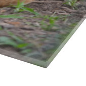 鶏のまな板 カッティングボード (角)