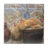 鶏のタイル タイル (正面)