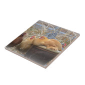 鶏のタイル タイル (側面)