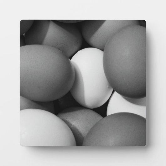 鶏の卵（白と黒） フォトプラーク (正面)