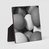 鶏の卵（白と黒） フォトプラーク (正面)