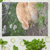 鶏の台所タオル キッチンタオル (折り畳み)