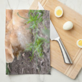 鶏の台所タオル キッチンタオル (四つ折り)