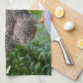 鶏の台所タオル キッチンタオル (四つ折り)