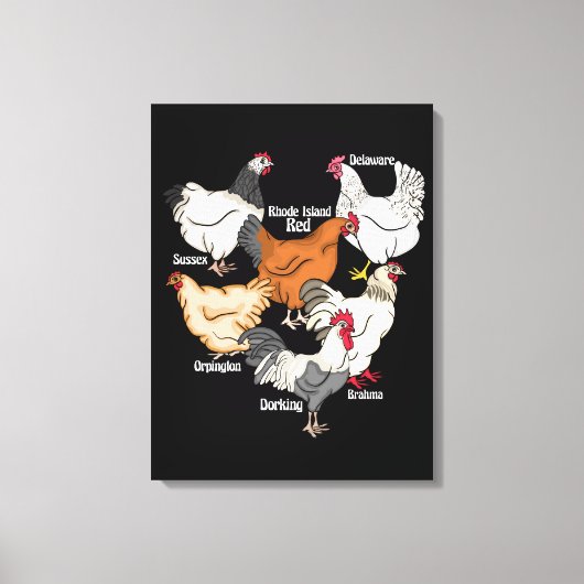 鶏の品種チキンラバーギフトメンチキン キャンバスプリント (正面)