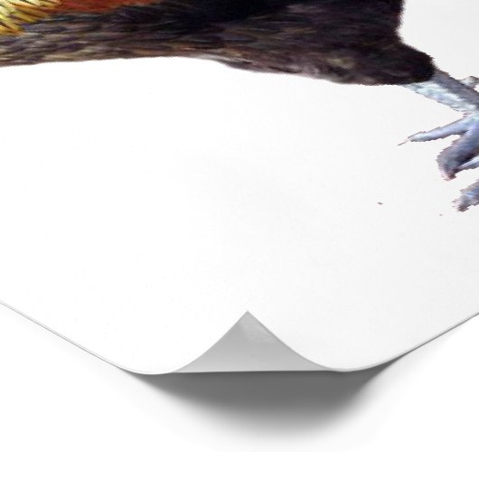 鶏の平原 ポスター (角)