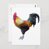 鶏の平原 ポストカード (正面/裏面)