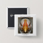 鶏の広告宣伝の部分 缶バッジ (正面&裏面)